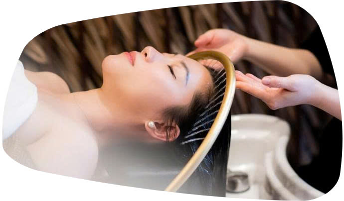 hệ sinh thái khỏe đẹp