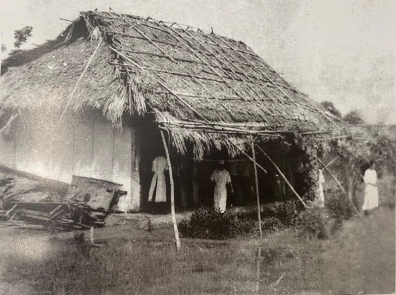 hệ sinh thái khoẻ đẹp