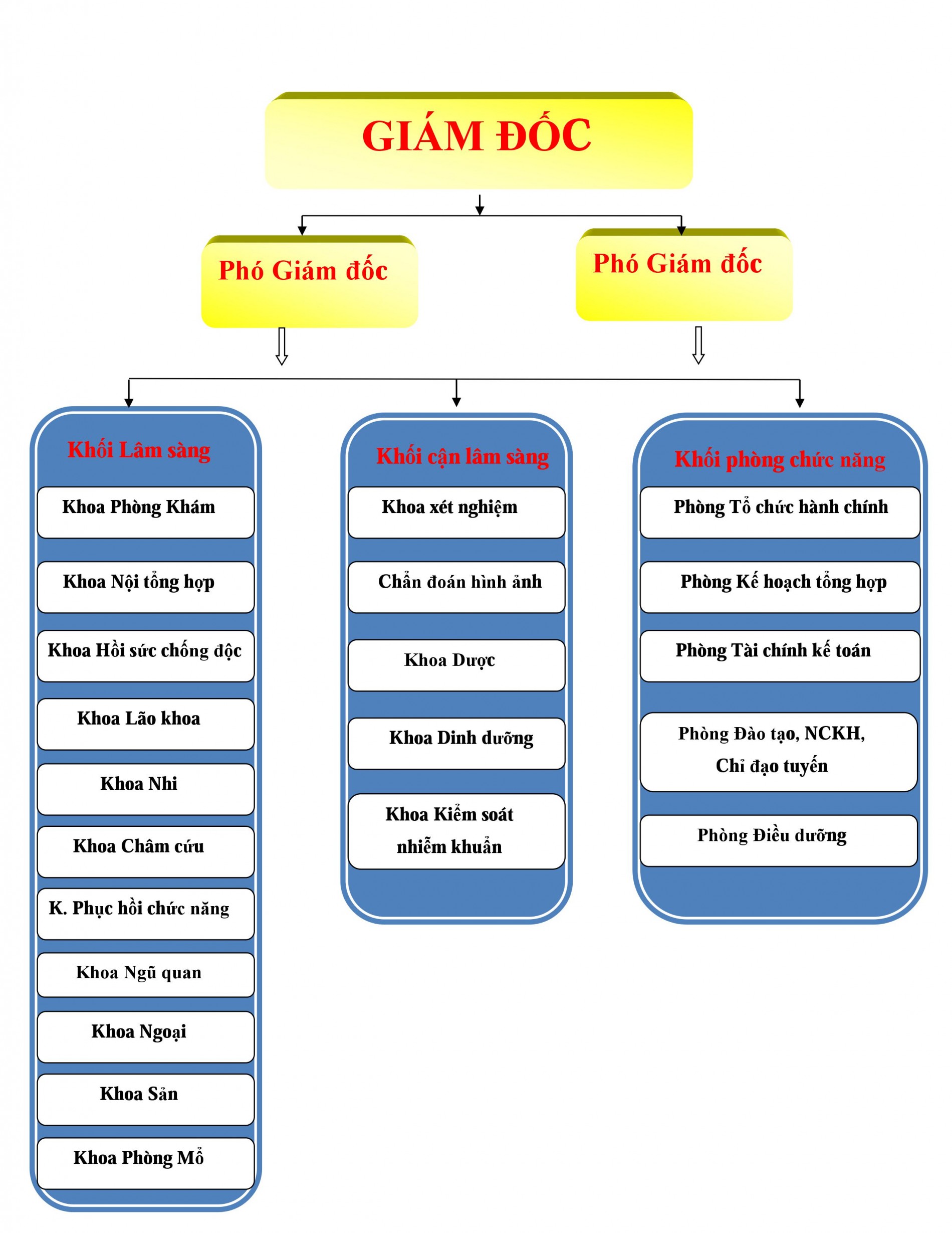 hệ sinh thái khỏe đẹp