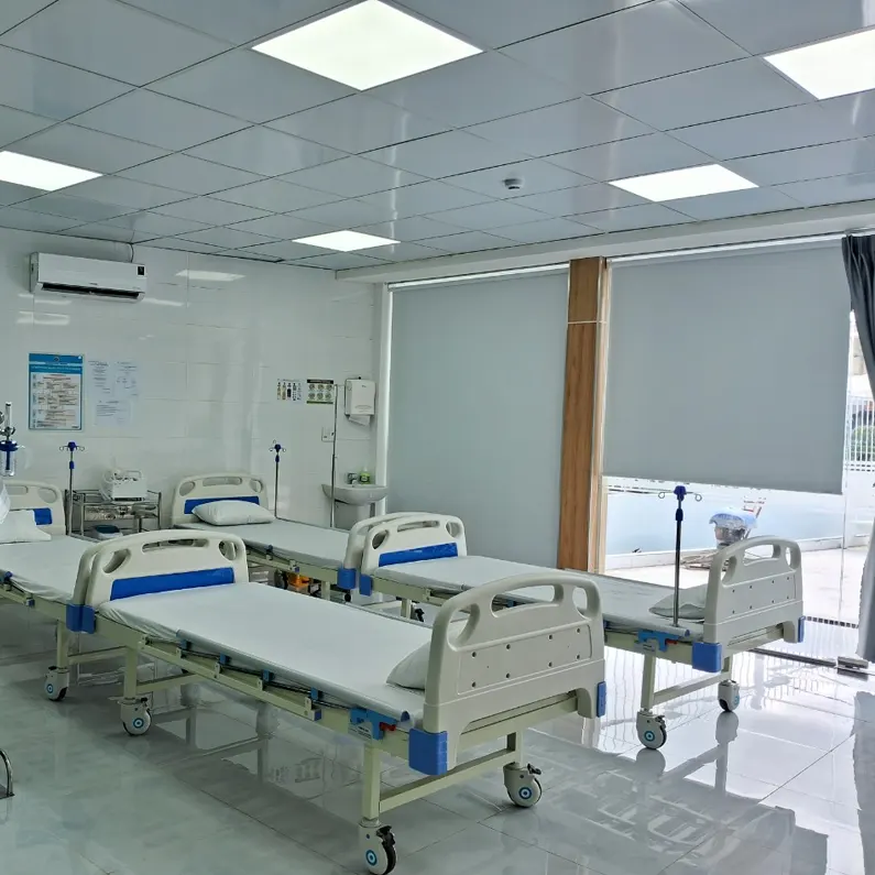 hệ sinh thái khỏe đẹp