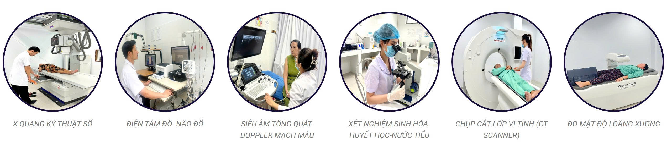 hệ sinh thái khỏe đẹp