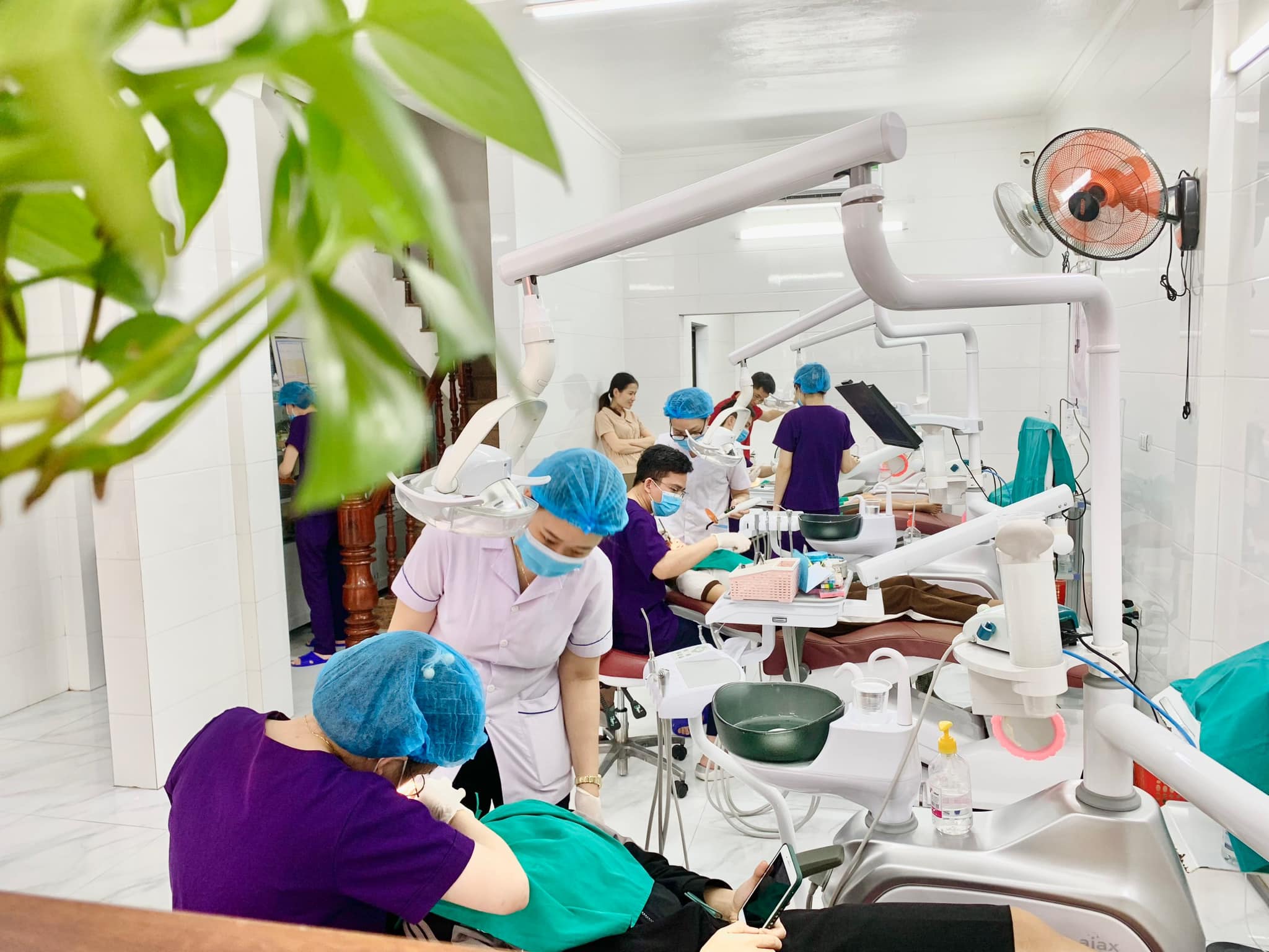 hệ sinh thái khỏe đep